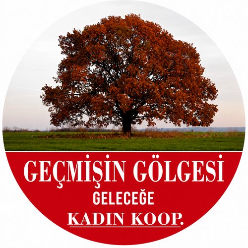 Geçmişin Gölgesi Geleceğe